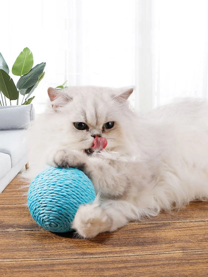 Interactive Sisal Cat Bite Ball