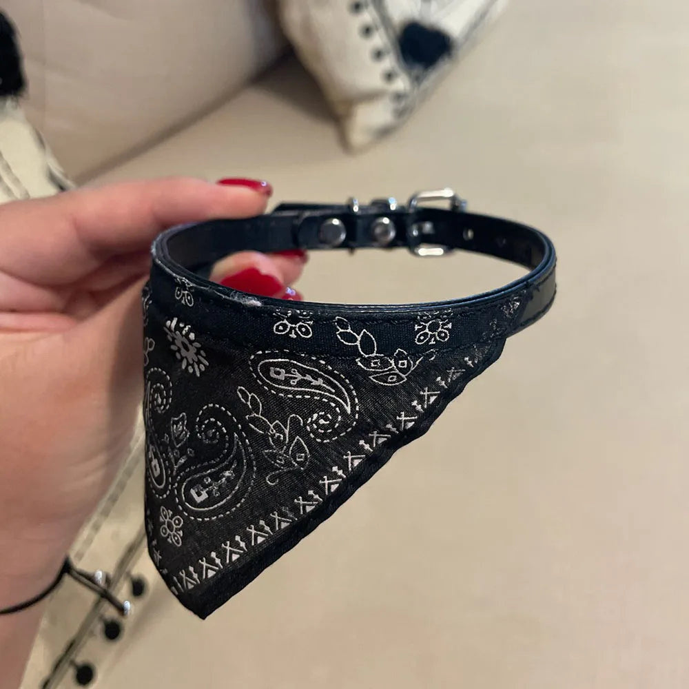 Cute Printed Triangular Pet Collar