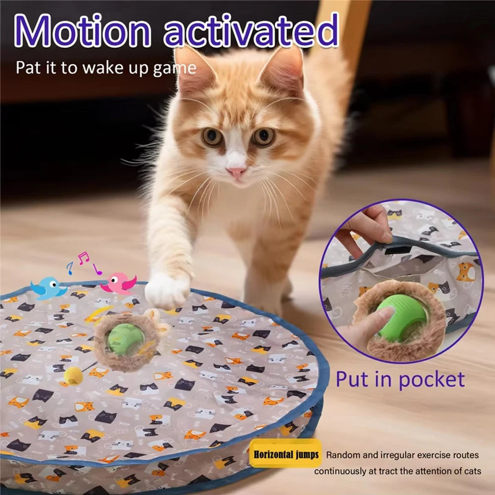 RollNSeek Cat Toy