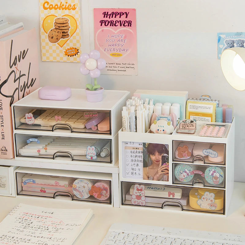 Transparent Multi-Use Desk Organizer