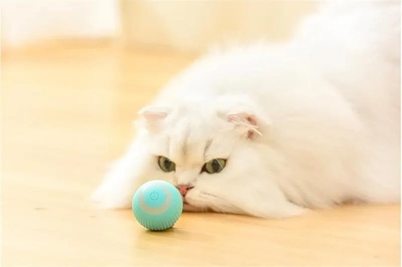 Smart Rolling Pet Ball