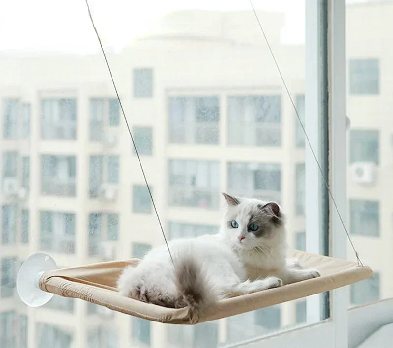 Hanging Cat Hammock Bed