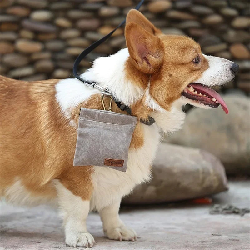 Hands-Free Pet Treat Pouch