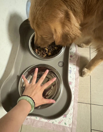 Elevated Dog Bowls