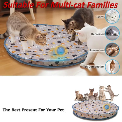 RollNSeek Cat Toy