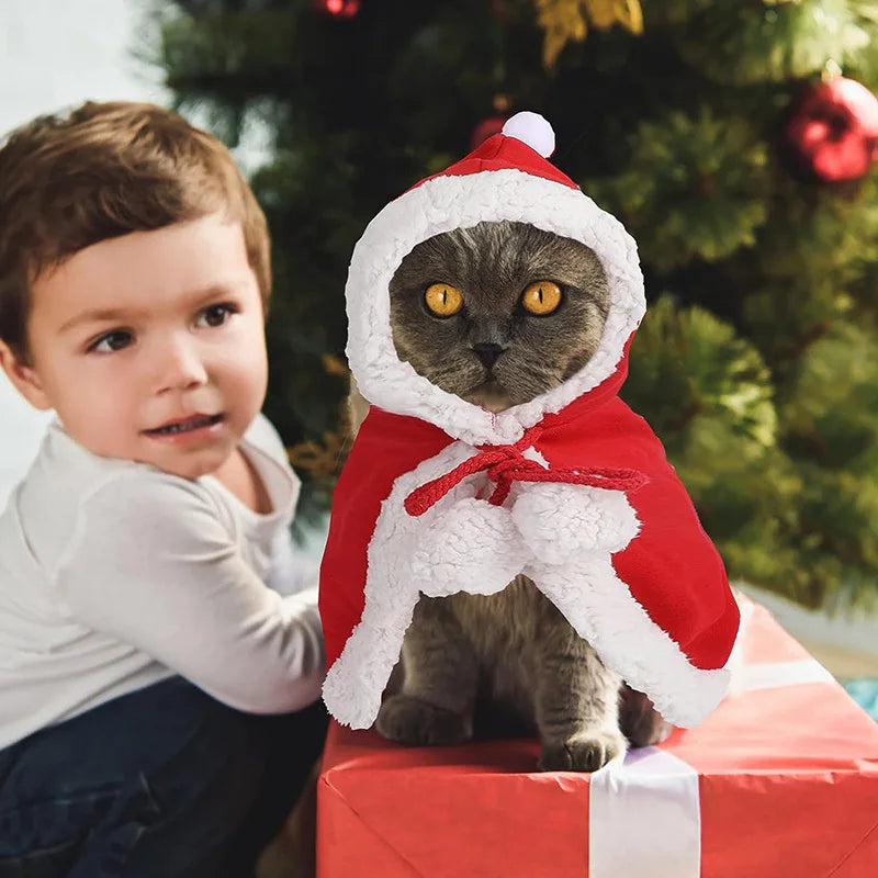 Santa Transform Pet Cape