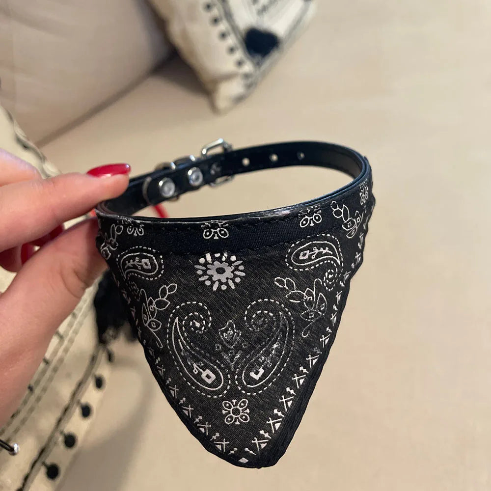 Cute Printed Triangular Pet Collar