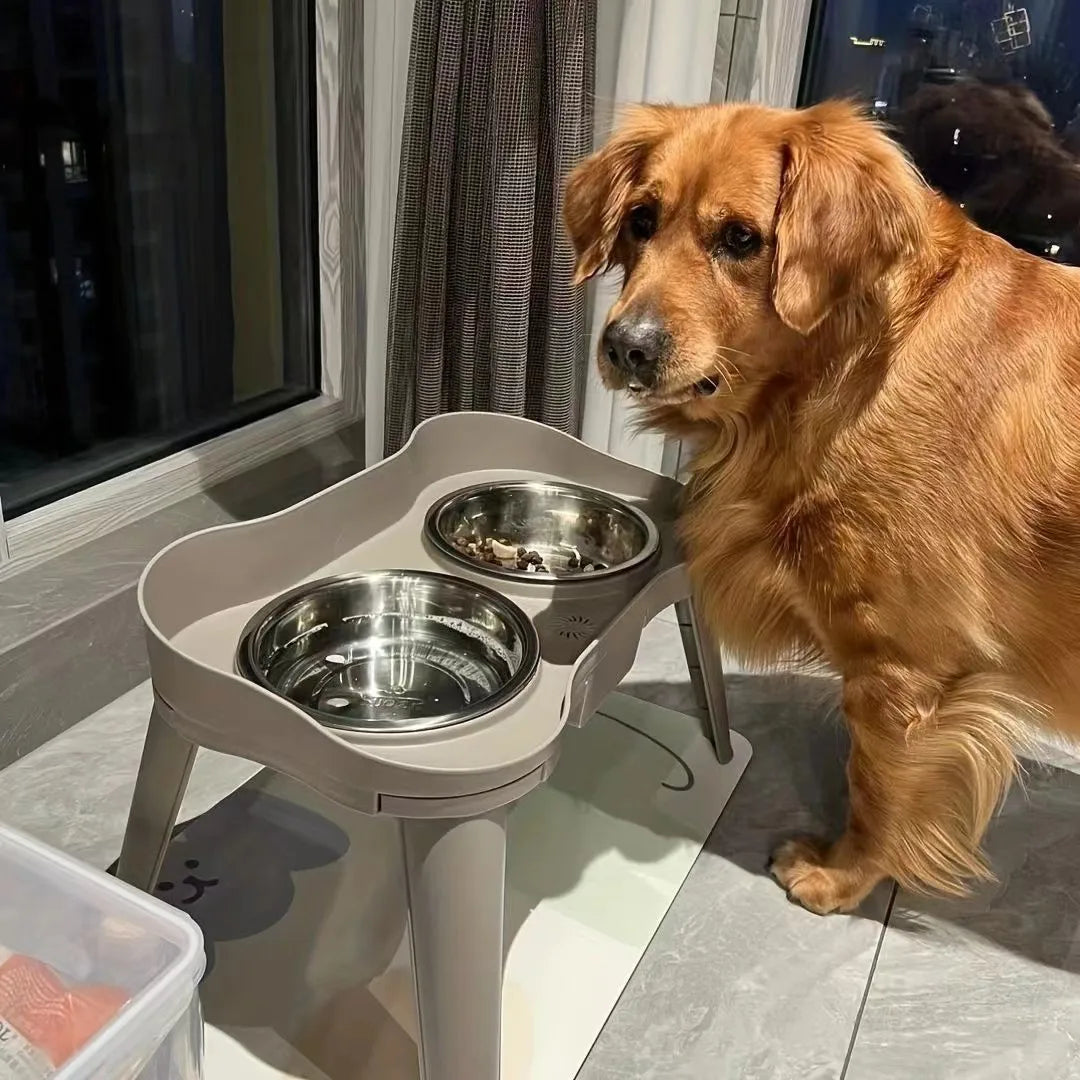 Elevated Dog Bowls