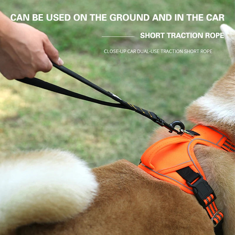 Durable Pet Traction Leash