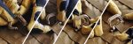 Tactical D-Clip Adventure Gear - 图片 18