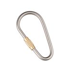 Titanium Brass Locking Carabiner Key Clip Camping Backpack Hook D Shape - 图片 4