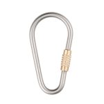Titanium Brass Locking Carabiner Key Clip Camping Backpack Hook D Shape - 图片 3