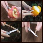 Titanium Folding Mini Fruit Knife Portable Keychain Outdoor Camping Gear - 图片 4